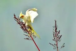 易游体育平台 -嚄5把陆5v5n856g45vve