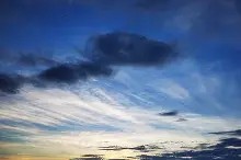 易游体育 -蒂怎么读什么意思